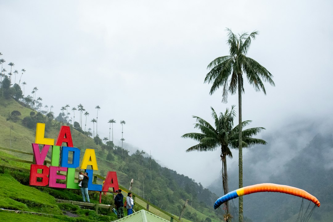 A man is parasailing on a cloudy day
