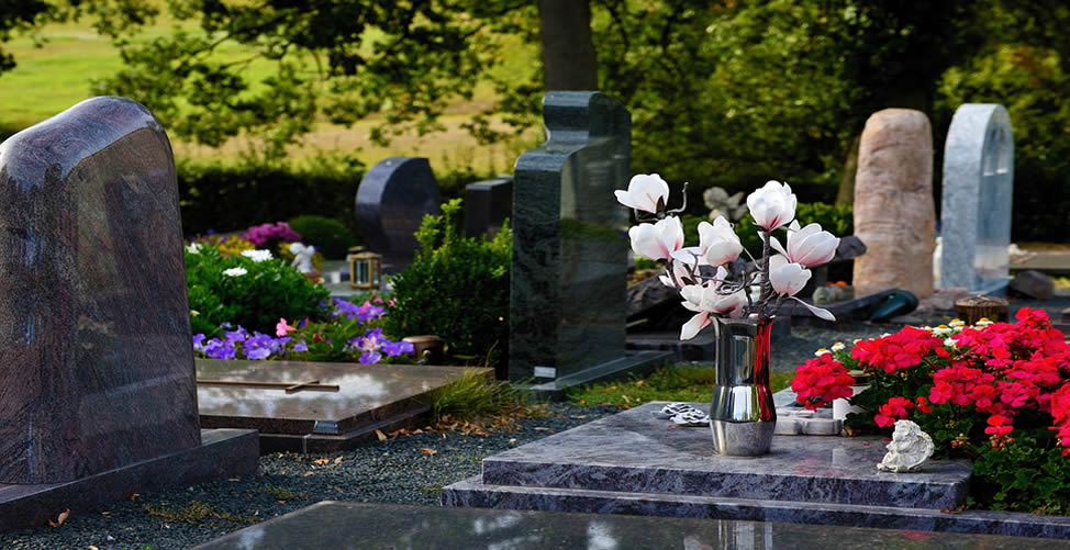 Sonhar Com Cemitério com flores