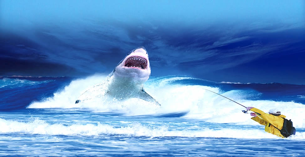 Sonhar Com Tubarão Atacando