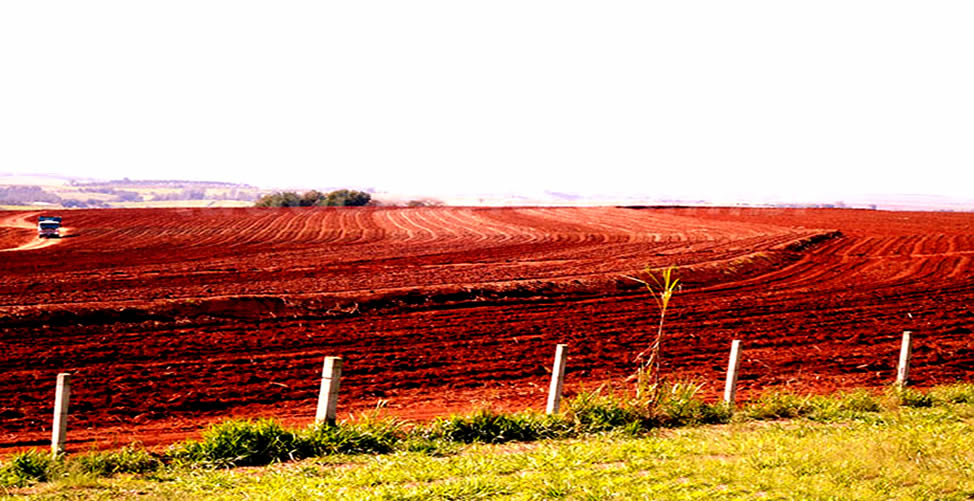 Sonhar Com Terra Vermelha