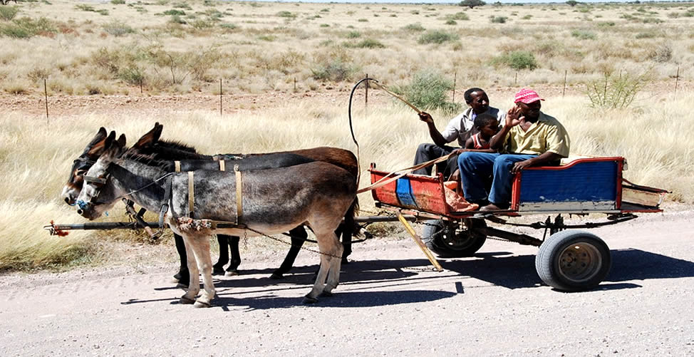 Sonhar Com Carroça em Movimento