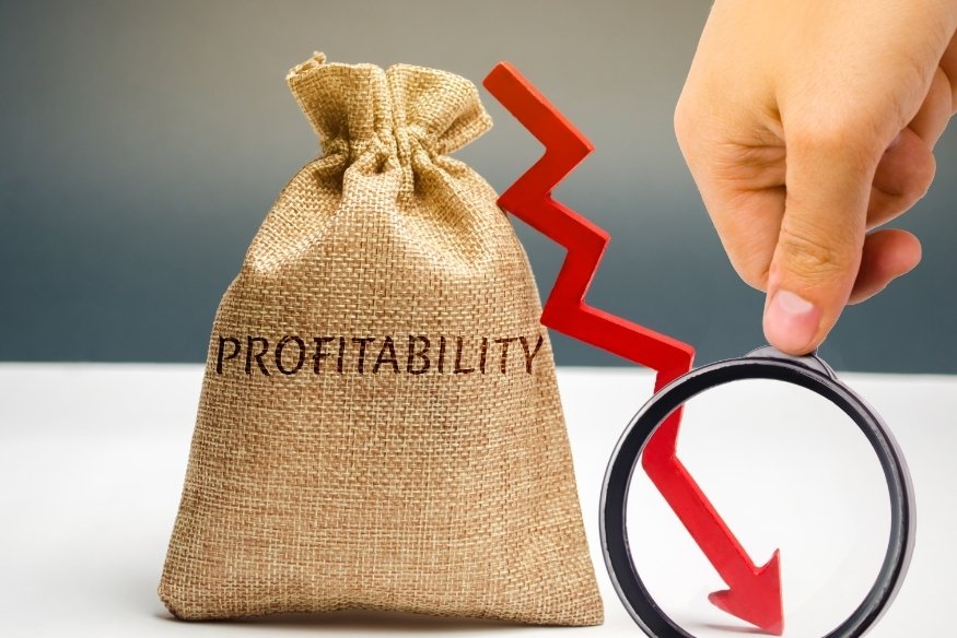 Mano con lupa señalando una bolsa con la palabra "profitability" y una flecha descendente roja.